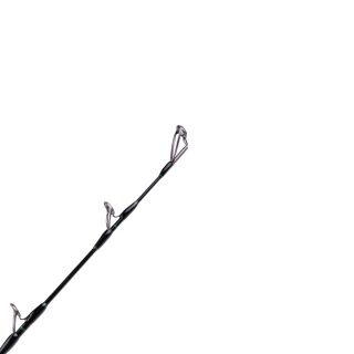 Zeck Fishing Evo Cat Vertic Rod 1,90m 180g