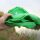 Zeck Fishing Cat Buoy Green Boje