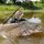 Zeck Fishing Cat Crank 7.5cm