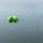 Zeck Fishing Outrigger System