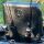 Zeck Fishing Belly Cat
