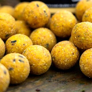 CCMoore Live System Continental Boilies 21 mm 5 kg