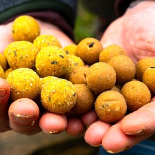 CCMoore Live System Continental Boilies 21 mm 5 kg