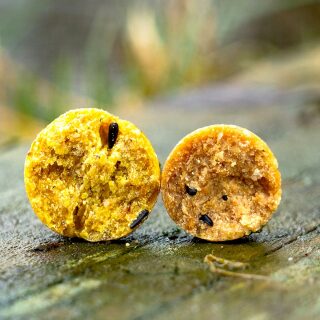 CCMoore Live System Continental Boilies 21 mm 5 kg