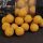 CCMoore Live System Continental Boilies 21 mm 5 kg
