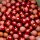 CCMoore Pro-Stim Liver Continental Boilies 21 mm 5 Kg