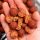 CCMoore Pro-Stim Liver Continental Boilies 21 mm 5 Kg