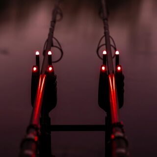 Avid Carp VTX+ Illuminated Snag Ears
