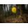 Black Cat Echtwurmteaser Yellow Evo 160g