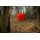 Black Cat Echtwurmteaser Red 120g