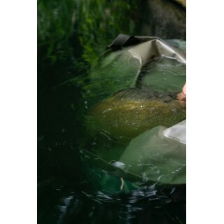 Korum Camo Compact Weigh Sling