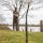Avid Carp All-Terrain Yard Sticks