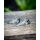 Fox Edges Bait Screw Short (9mm)
