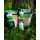 Carpline24 - Bundle Futtermischungen "fischig"