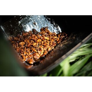Carpline24 - Bundle Insektenmischung