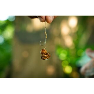 Carpline24 - Bundle Insektenmischung