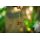 Carpline24 - Bundle Insektenmischung