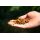 Carpline24 - Bundle Insektenmischung
