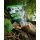 Carpline24 - Bundle Belachan