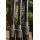 Korum Avon Rod