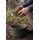 Korum Eva Solid Groundbait & Riddle Bowl Deep