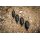 Black Cat Quick Change Inline Weights