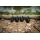 Black Cat Quick Change Inline Weights