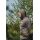 Korda UPF Hooded Top Charcoal M