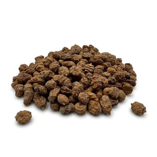 Tigernüsse JUMBO XXL 20 kg (20-26mm) SPEZIALCHARGE