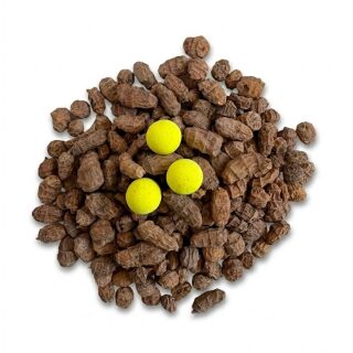 Tigernüsse JUMBO XXL 20 kg (20-26mm) SPEZIALCHARGE