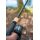 Korum Opportunist 10ft 2.25lb