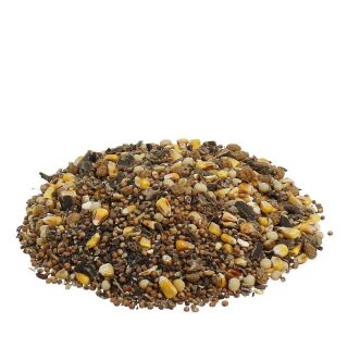 Premium CARP Partikel Mix 1 kg