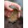 Korum Bait Gripper Feeder