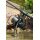 Avid Carp Ascent Rod