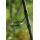 Avid Carp Ascent Rod