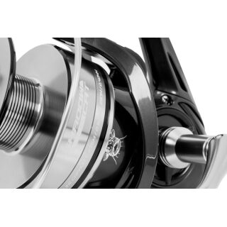 Black Cat Shadow Cat 6500
