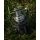 Black Cat Shadow Cat 6500