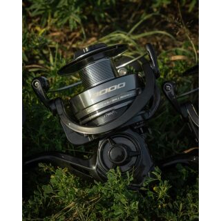 Black Cat Shadow Cat 8000