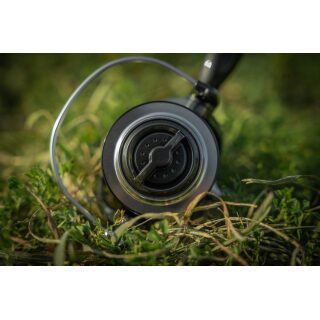 Black Cat Shadow Cat 8000