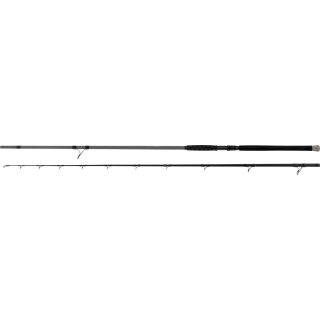 Black Cat Shadow Cat Long Range 3.3