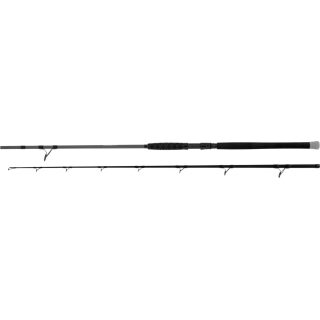 Black Cat Shadow Cat HD Boat 2.5
