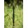 Korum Twist Lock Bankstick 50cm