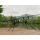 Delphin RPX ProMAX BlackWay 3 Rod Pod