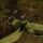 Trakker Sanctuary T1 Retention Sling Camo