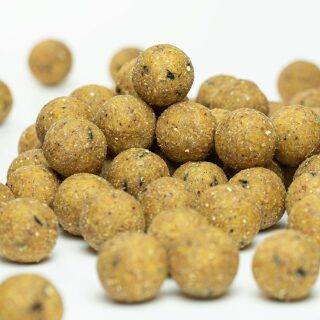 Carpline24 - Futterboilies Kokos - 5 kg 20 mm