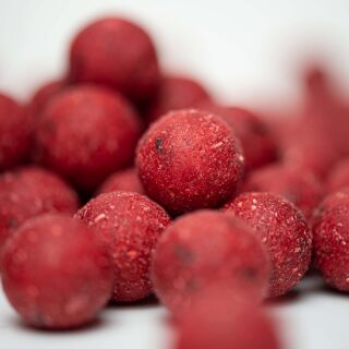 Carpline24 - Futterboilies Erdbeere - 10 kg