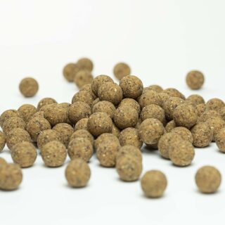 Carpline24 - "Tinuts" Boilie - 10 kg 16 mm