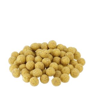 Carpline24 - Maismehlboilies NEUTRAL - 10 kg 20 mm