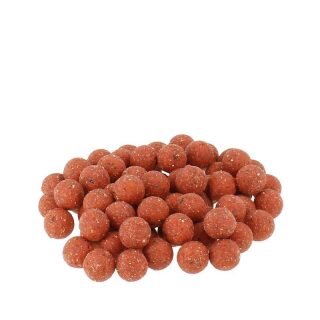 Carpline24 - Erdbeere / Scopex Boilies - 1 kg 20 mm