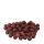 Carpline24 - Robin Red Boilies - 1 kg 20 mm